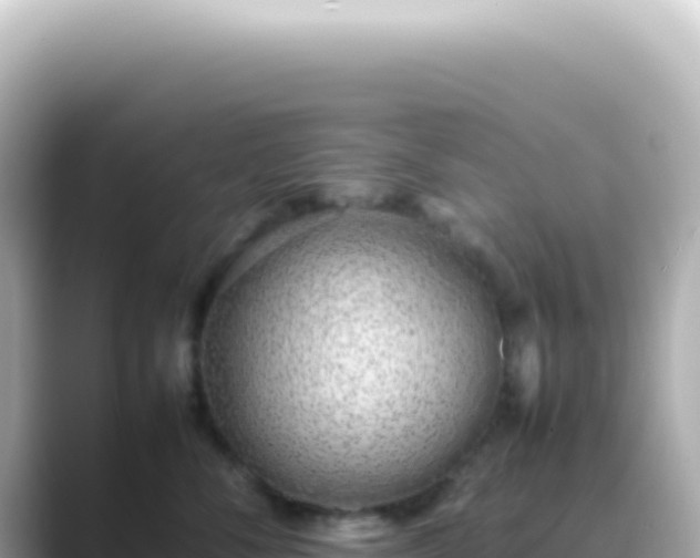 X0000089460716200706221305