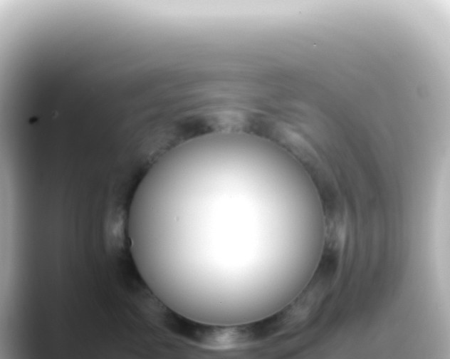 X0000089460717200706221305