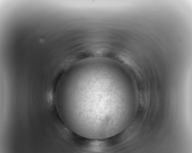 X0000089460718200706221305
