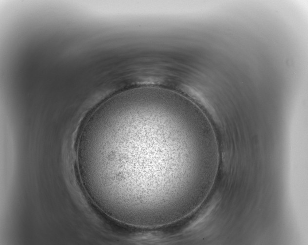 X0000089460721200706221304