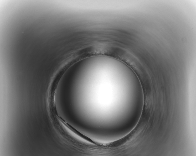 X0000089460722200706221304