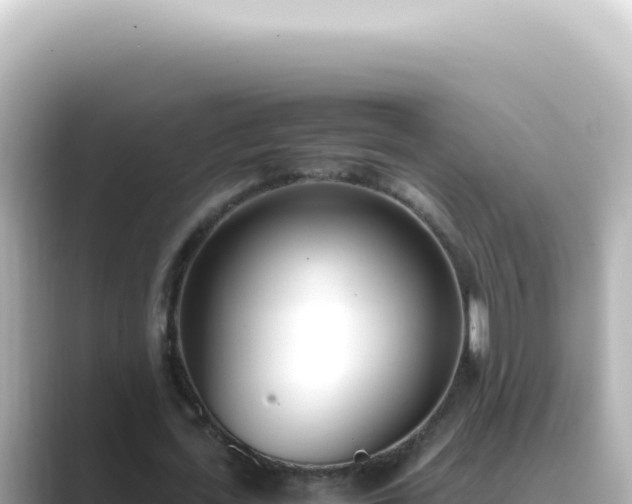 X0000089460723200706221304