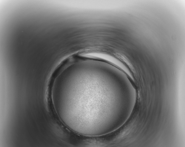 X0000089460724200706221304