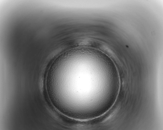 X0000089460725200706221304