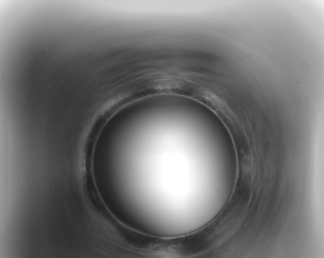 X0000089460727200706221304