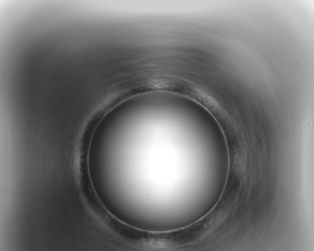 X0000089460730200706221304