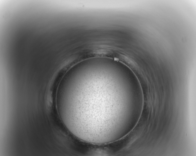 X0000089460731200706221305