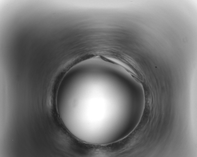 X0000089460732200706221305