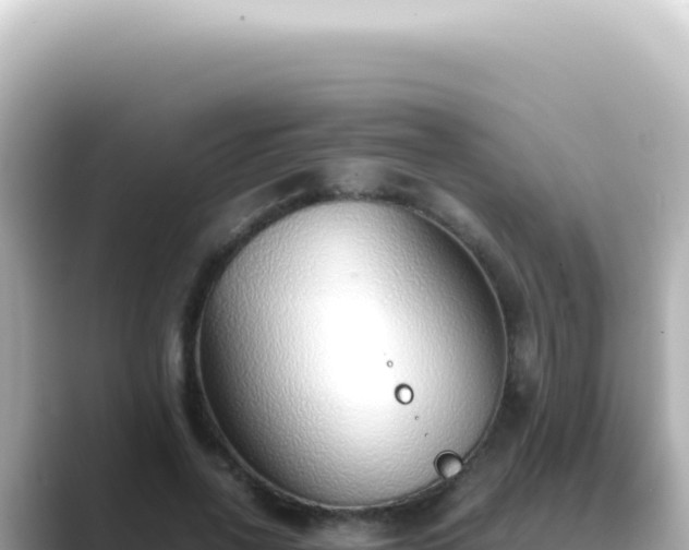 X0000089460734200706221305