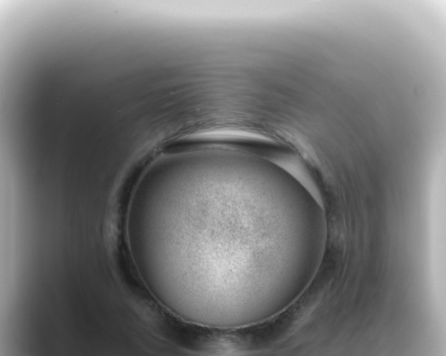 X0000089460736200706221305