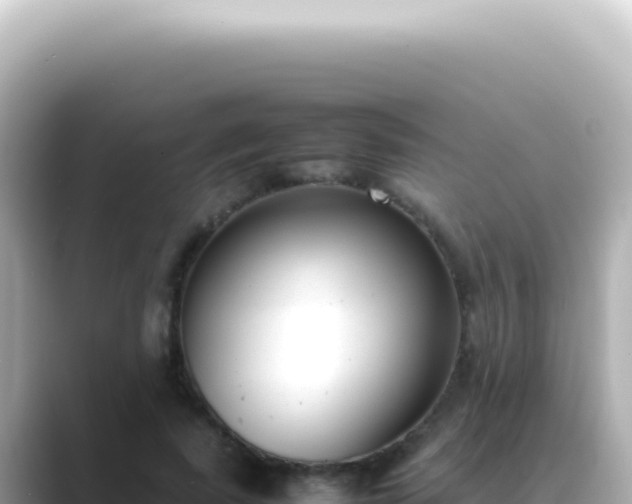 X0000089460739200706221305