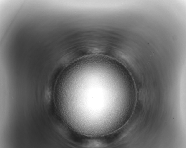 X0000089460741200706221305