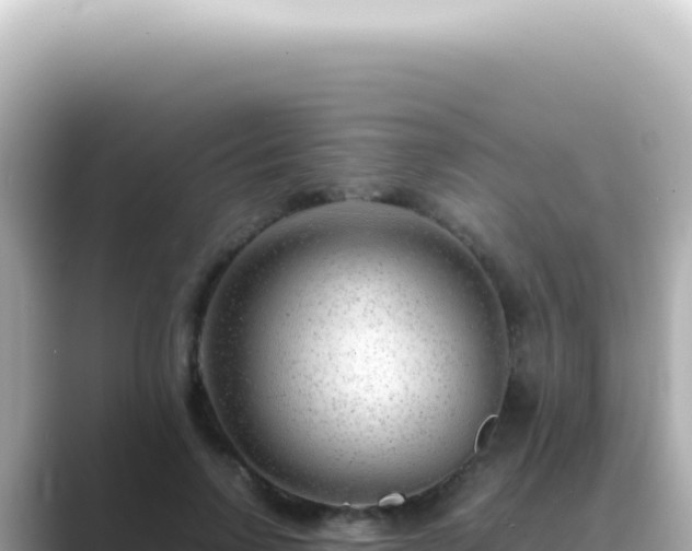X0000089460742200706221305