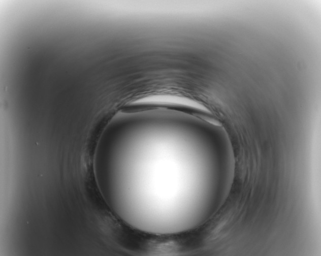 X0000089460747200706221305