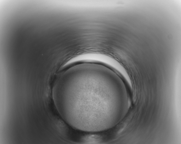 X0000089460748200706221305