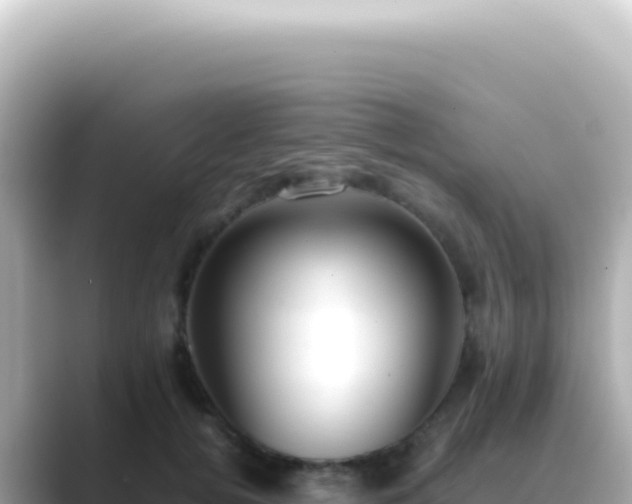 X0000089460752200706221305