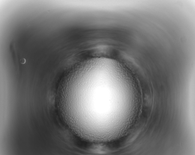 X0000089460753200706221305