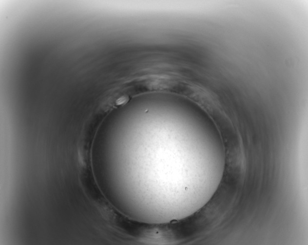 X0000089460755200706221305
