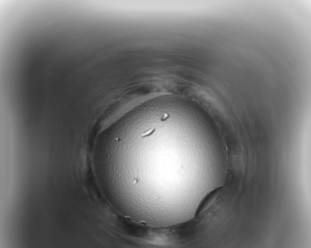 X0000089460757200706221305