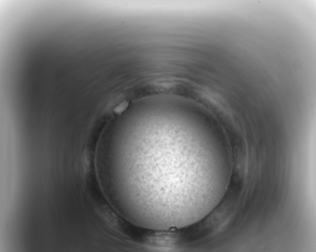 X0000089460758200706221305