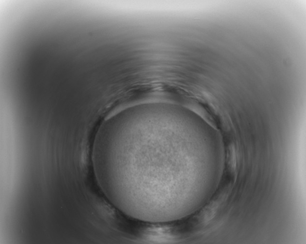 X0000089460760200706221305