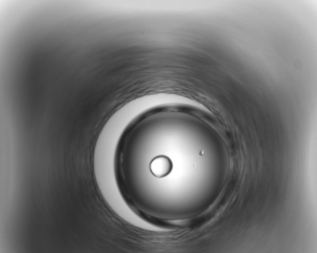X0000089460762200706221305