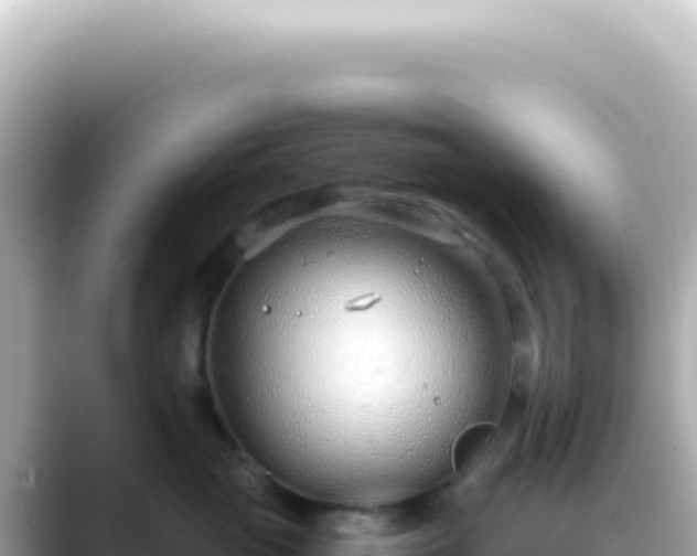 X0000089460765200706221305