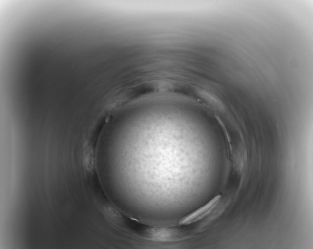 X0000089460766200706221305