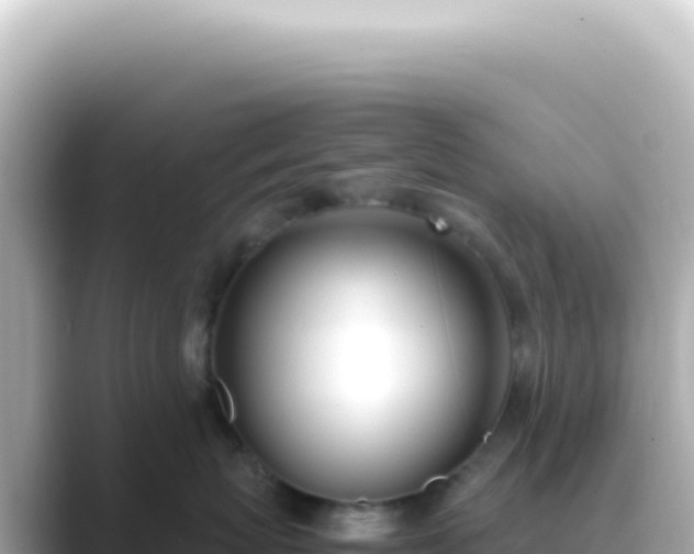 X0000089460767200706221305