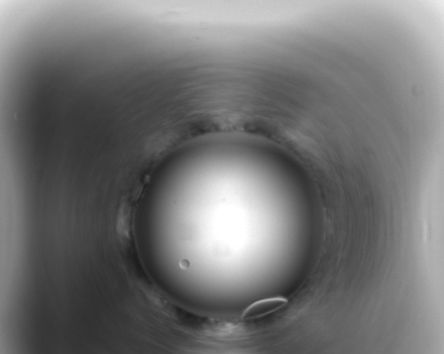 X0000089460768200706221305