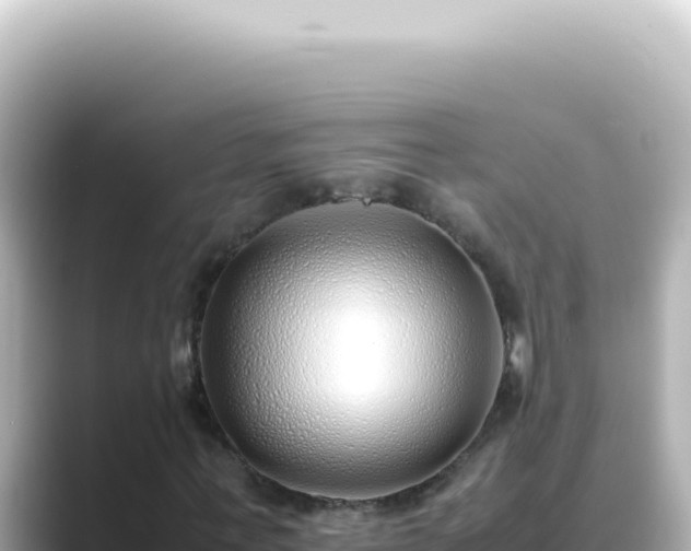 X0000089460771200706221304