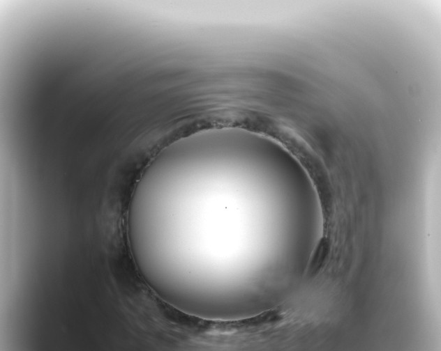 X0000089460773200706221304