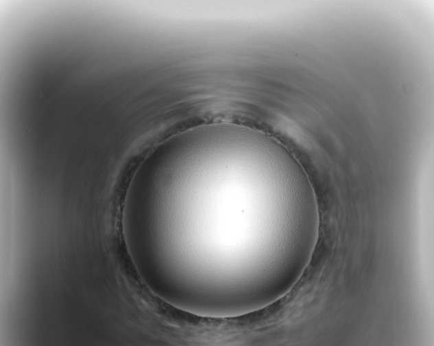 X0000089460775200706221304