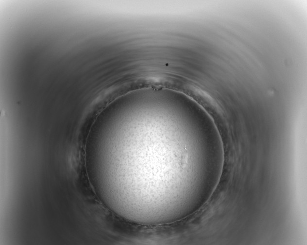 X0000089460776200706221304