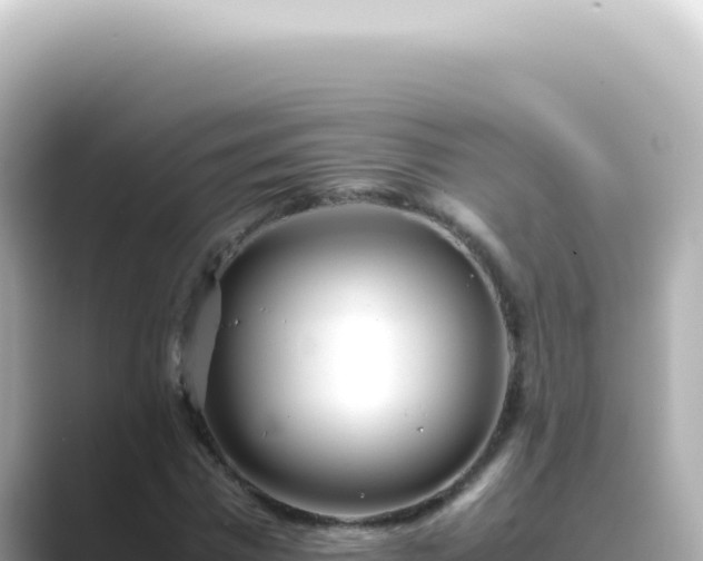 X0000089460777200706221304