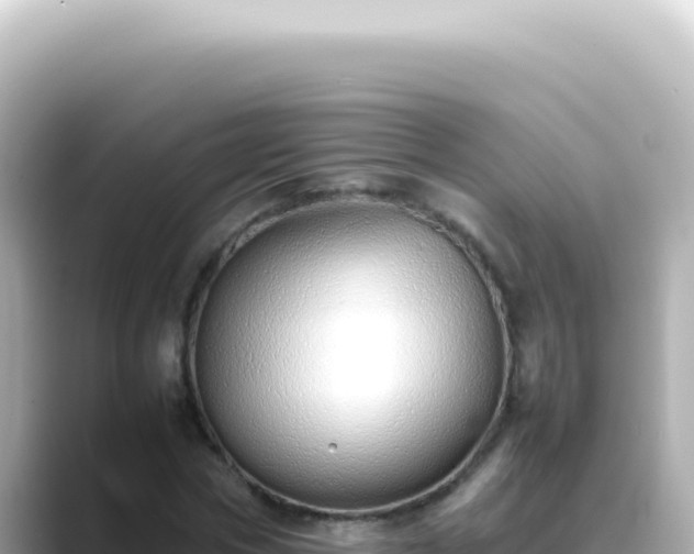 X0000089460778200706221304