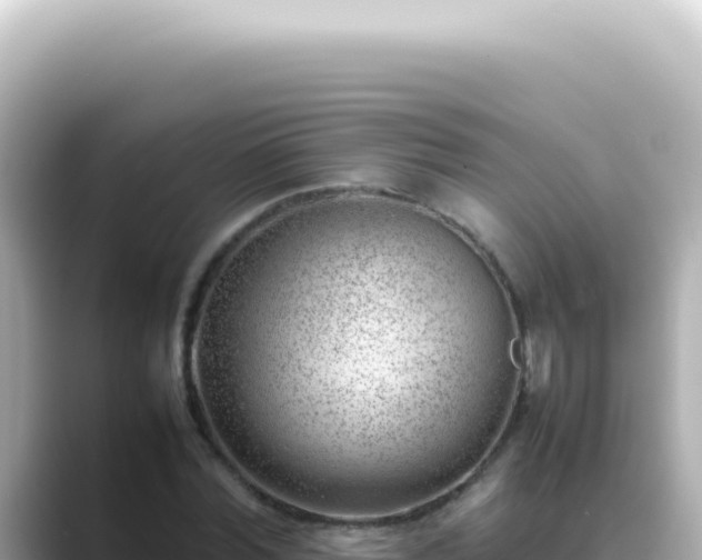 X0000089460780200706221304