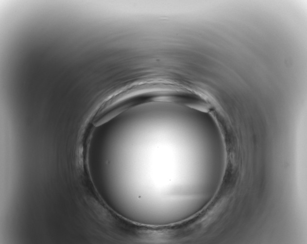 X0000089460781200706221304