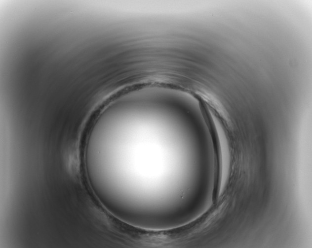 X0000089460784200706221304