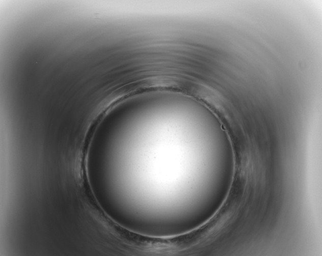 X0000089460786200706221304