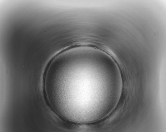 X0000089460787200706221304