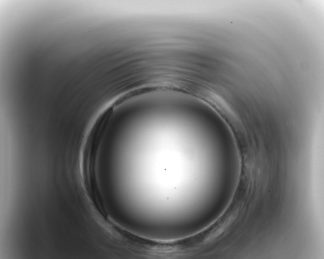 X0000089460788200706221304