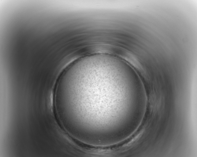 X0000089460790200706221304