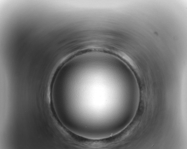 X0000089460791200706221304