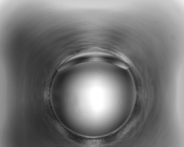 X0000089460793200706221304