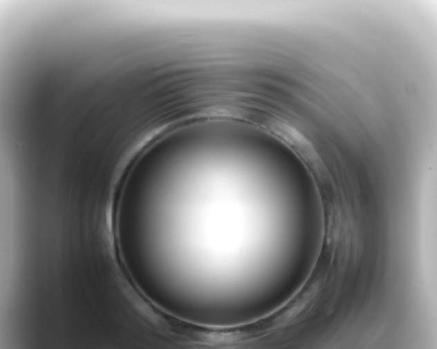 X0000089460796200706221304