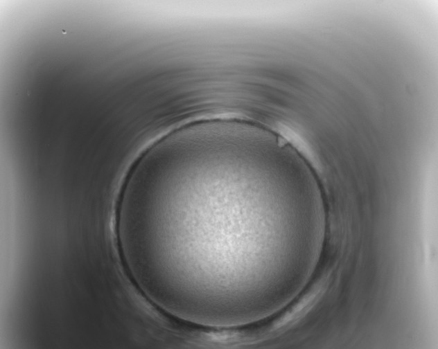 X0000089460797200706221304
