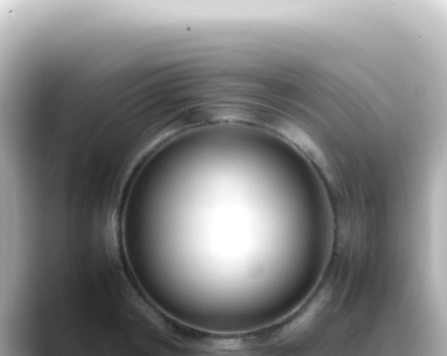 X0000089460798200706221304