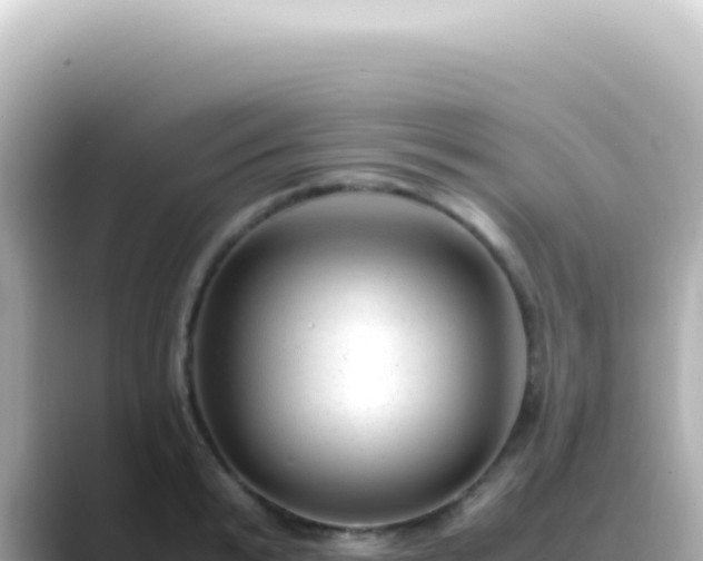 X0000089460799200706221304