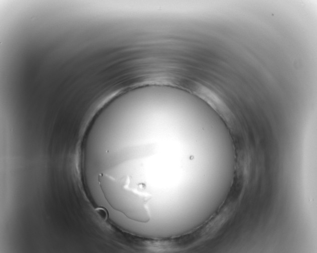 X0000089460804200706221304